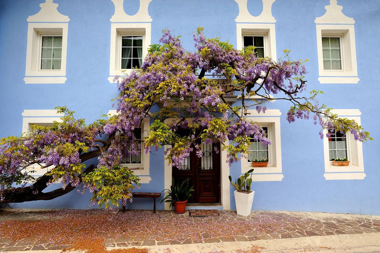 The Blue House Hotell Tolmin Exteriör bild